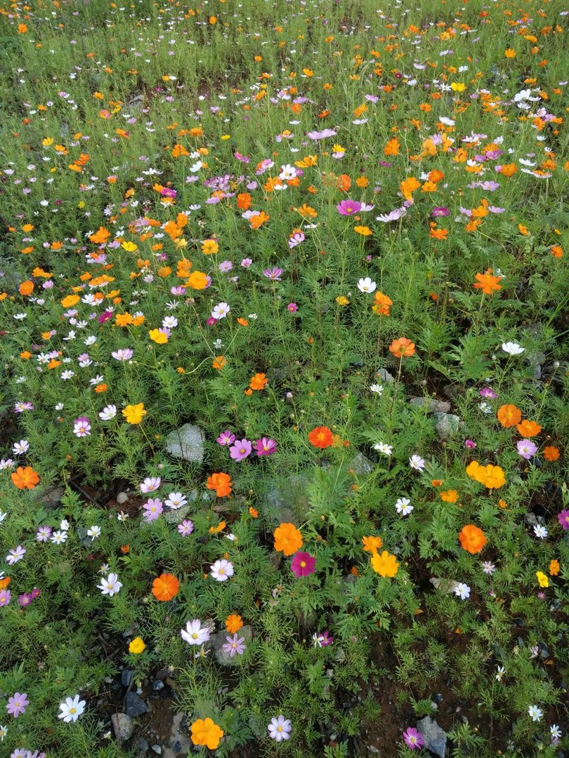 两个人分开，我说你会把我忘了吗？男的说忘也忘不了 ，又说复合在一起是不可能的了，这完全心里没有我了