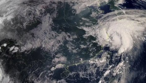 台风白色预警信号标准