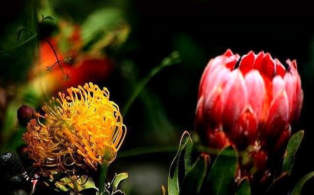 已经拥有哪几样东西的中年人，说明他非龙即凤？