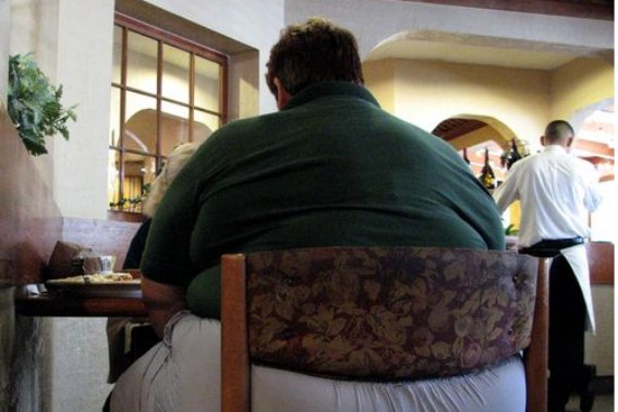 膘肥体壮的膘组词