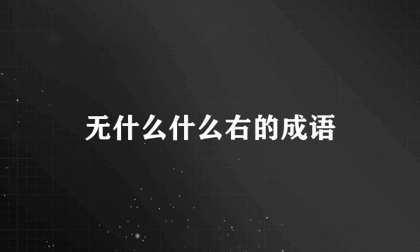无什么什么右的成语