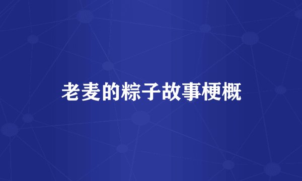 老麦的粽子故事梗概