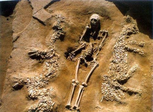 重大考古发现：中国最早的龙什么时候出现