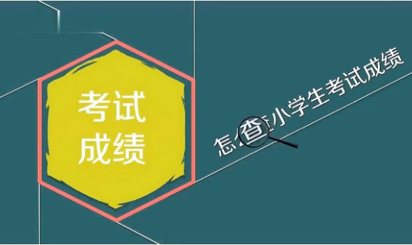小学生怎么查成绩分数呢？