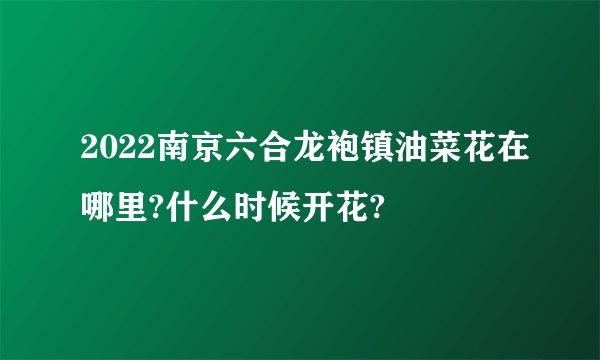 2022南京六合龙袍镇油菜花在哪里?什么时候开花?