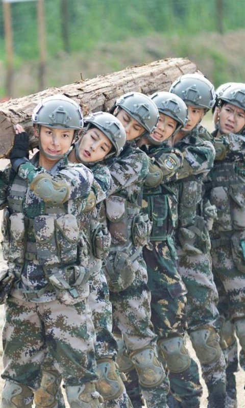 《我是特种兵》之火凤凰第三部讲了什么？