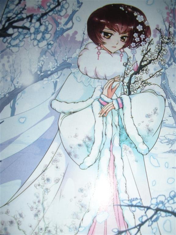 妃·夕妍雪的内容概述