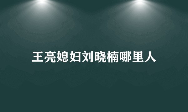 王亮媳妇刘晓楠哪里人