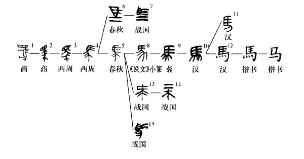 马字由来