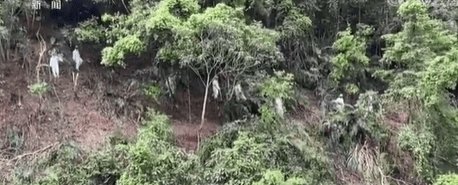 MU5735残骸大致地下分布被基本掌握，开展搜寻工作提供了哪些帮助？