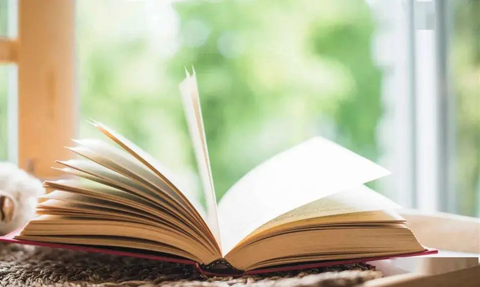 细写开小车车的小说推荐如下?