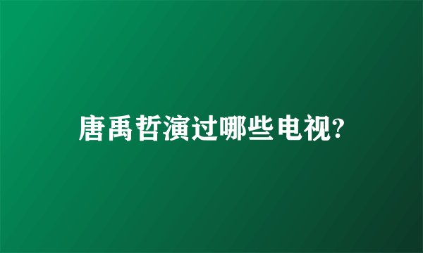 唐禹哲演过哪些电视?