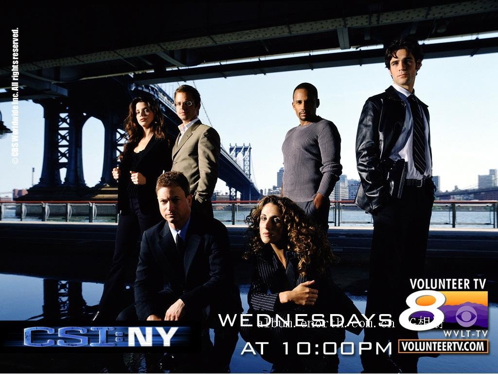 CSI纽约第八季的基本资料