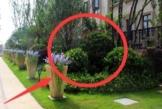 我被房产中介骗了,中介低价买了我的房子又高价卖出,请专业法律人士帮助