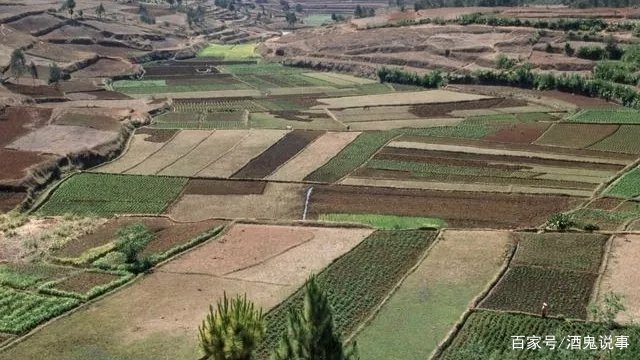 哈尔滨2名村干部遇害，警方的初步调查情况如何？