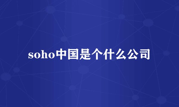soho中国是个什么公司