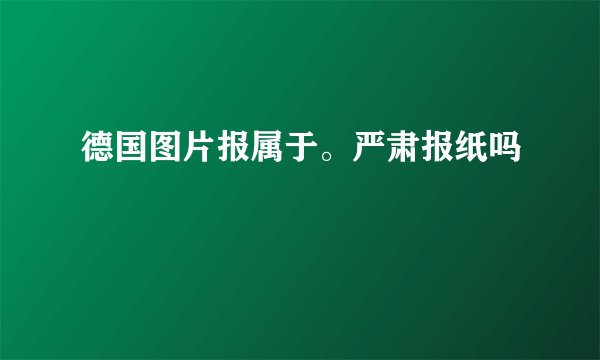 德国图片报属于。严肃报纸吗
