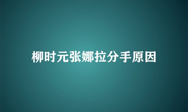 柳时元张娜拉分手原因