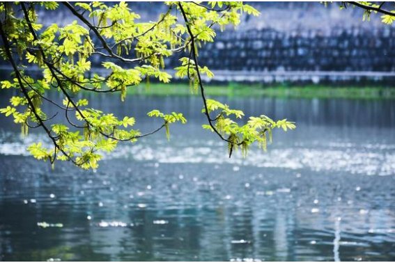 赞美三月春光美的短句