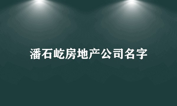 潘石屹房地产公司名字