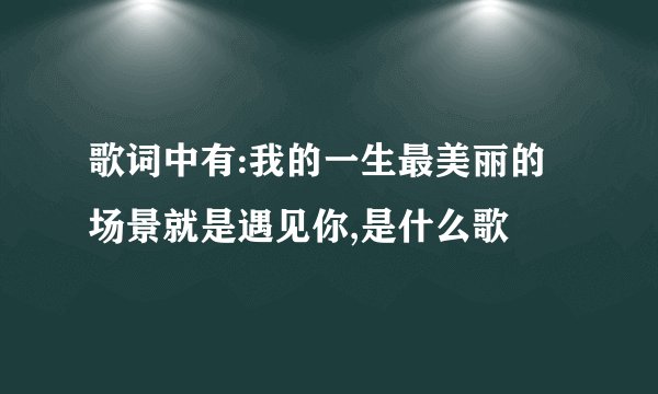 歌词中有:我的一生最美丽的场景就是遇见你,是什么歌