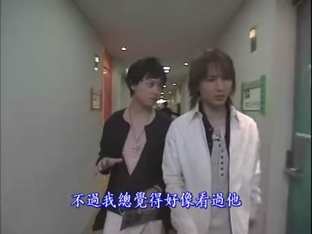 女婿大人2003的剧情简介