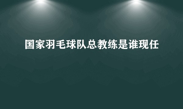 国家羽毛球队总教练是谁现任