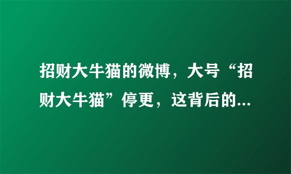 招财大牛猫的微博，大号“招财大牛猫”停更，这背后的原因是什么？