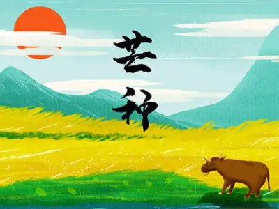 啊哈哈啊哈哈啊哈哈哈高音什么歌