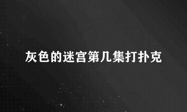 灰色的迷宫第几集打扑克