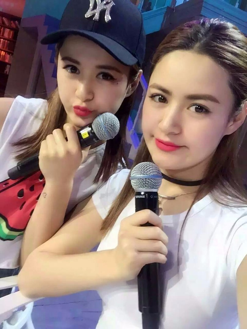 2016广州车展举办时间