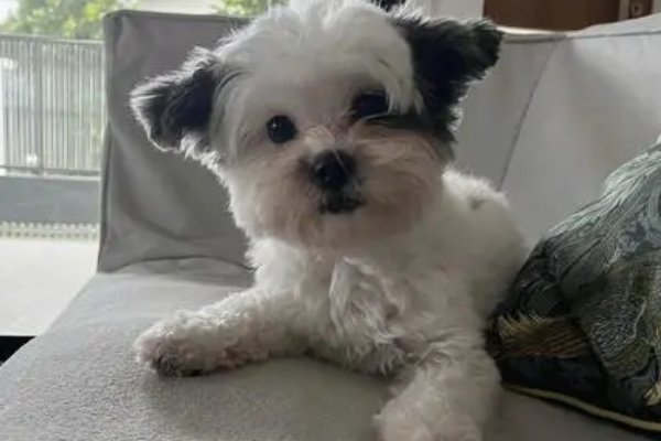 咦字组词怎么组