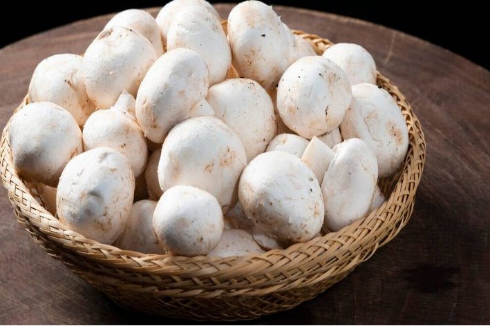 口蘑中的口字原于哪里