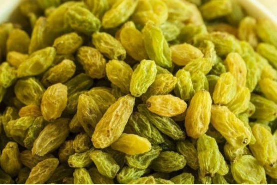 葡组词语和拼音