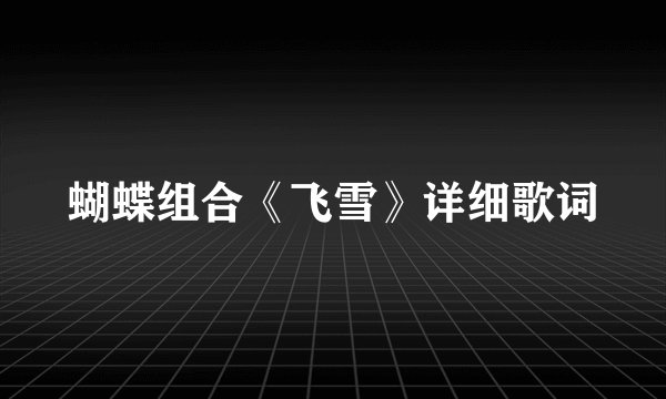 蝴蝶组合《飞雪》详细歌词