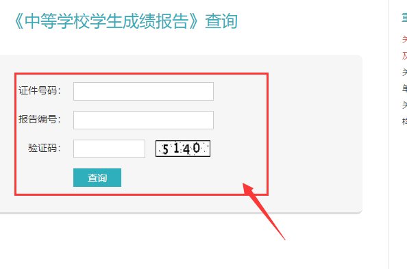 怎么查初中成绩？