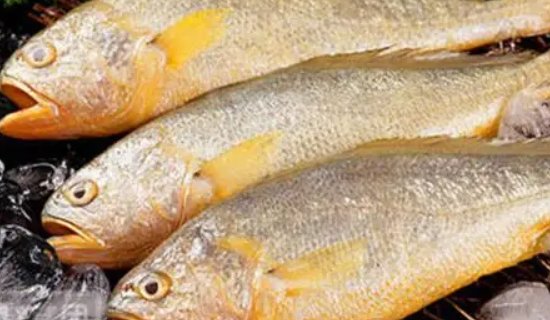 海鲜鱼类的肉是不是都很咸