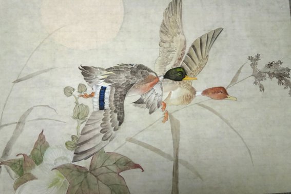 农妇与鹜的文言文翻译