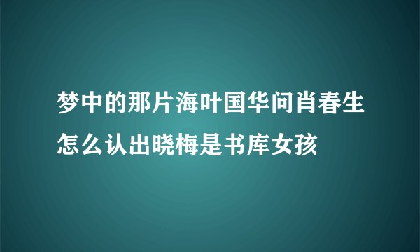 梦中的那片海叶国华问肖春生怎么认出晓梅是书库女孩