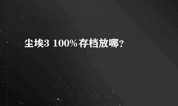 尘埃3 100%存档放哪？