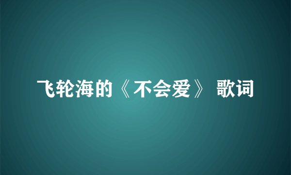 飞轮海的《不会爱》 歌词