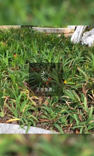 微信视频动态怎么设置永久？