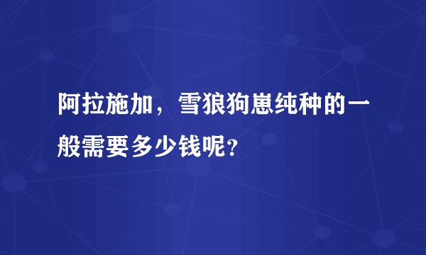 阿拉施加，雪狼狗崽纯种的一般需要多少钱呢？