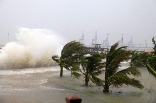 杜苏芮怎么拼写