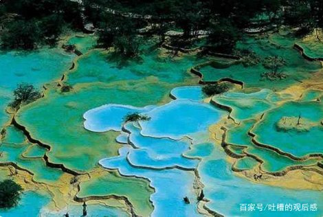 绵阳通报4天参团游未见九寨沟大门，涉事酒店最终得到了什么处罚？