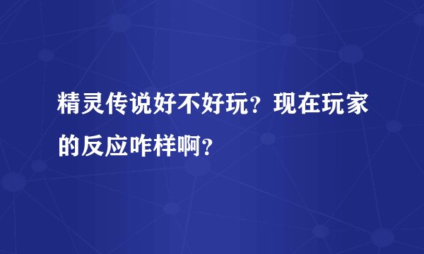 精灵传说好不好玩？现在玩家的反应咋样啊？