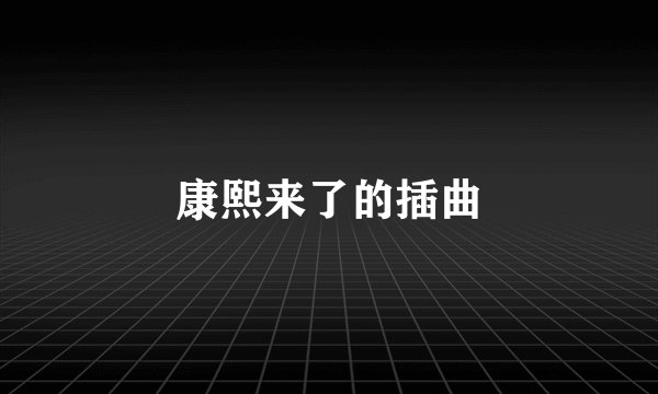 康熙来了的插曲