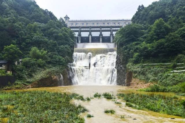 山东青岛水库泄洪群众不顾奔流扎堆捕鱼，群众为何不听劝阻？