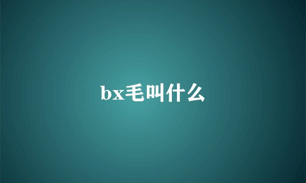 bx毛叫什么