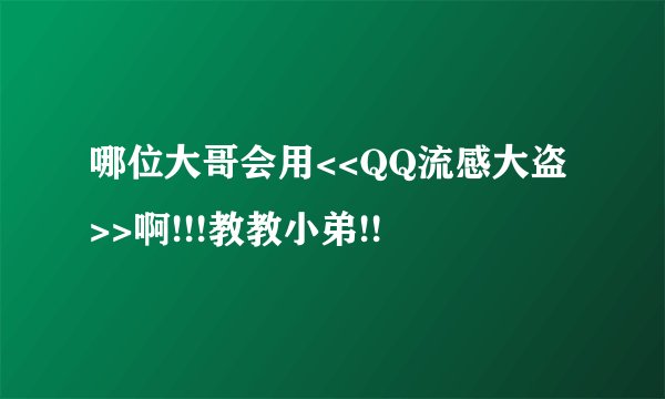 哪位大哥会用<<QQ流感大盗>>啊!!!教教小弟!!